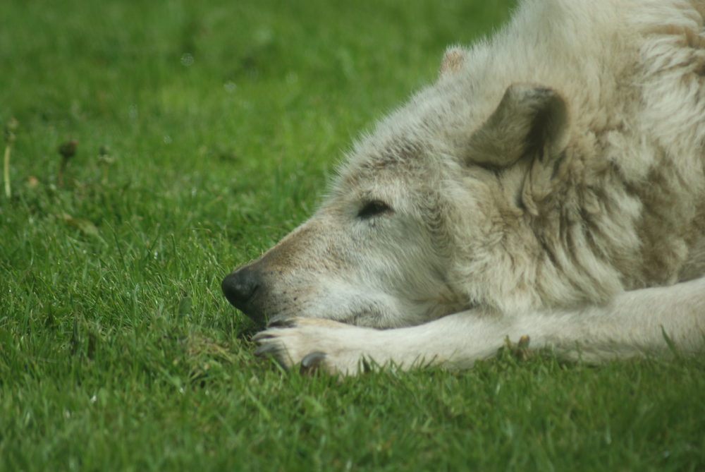Depositphotos.com