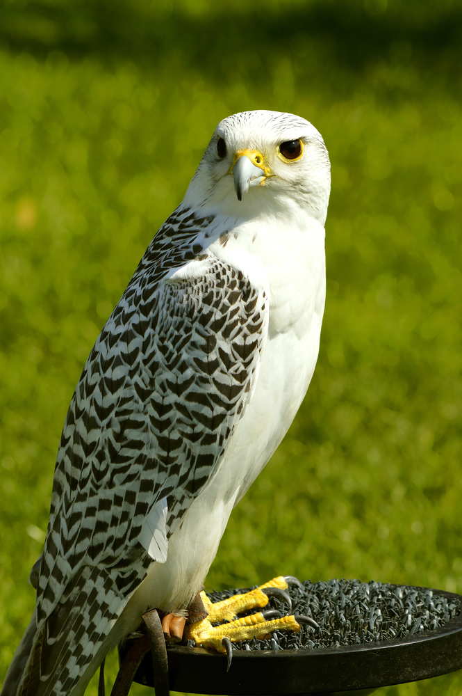 Depositphotos