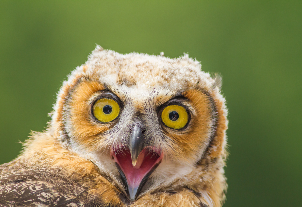 Depositphotos