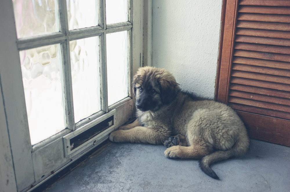Depositphotos.com