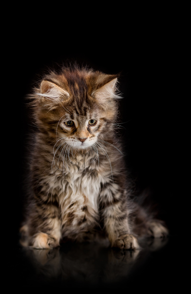 Depositphotos.com