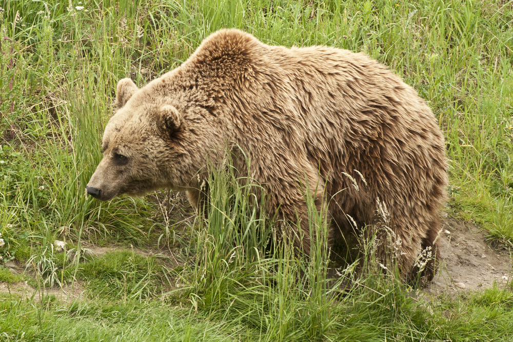 Depositphotos