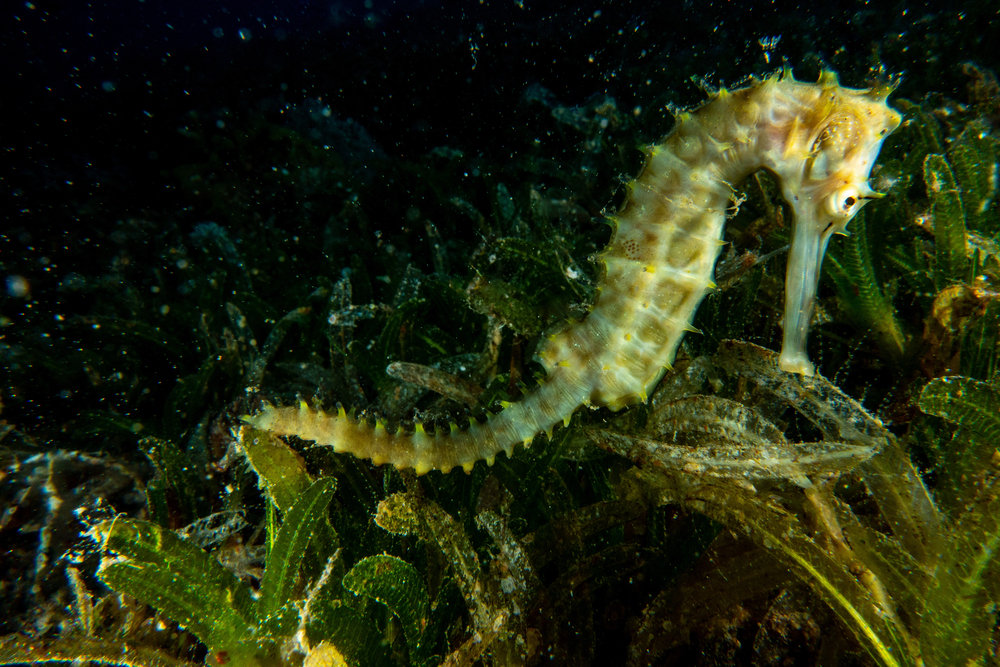 Depositphotos