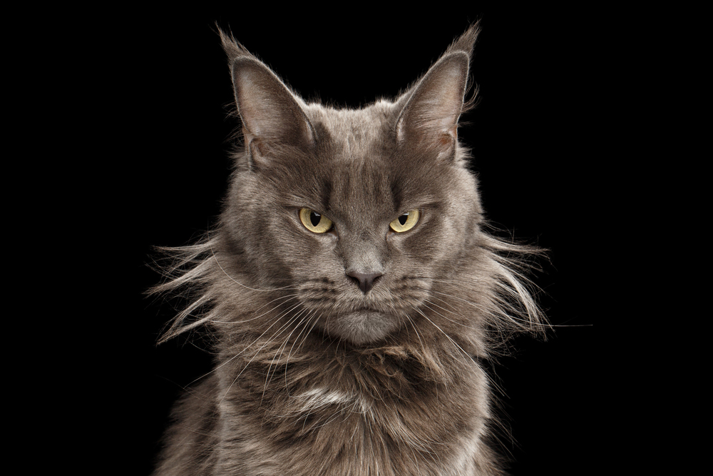 Depositphotos