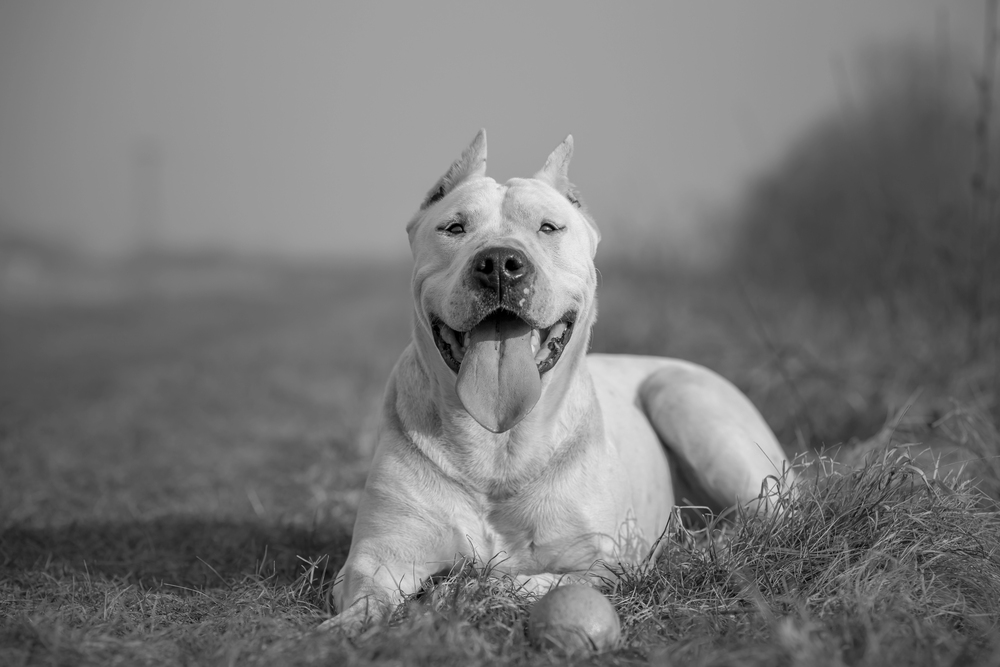 Depositphotos