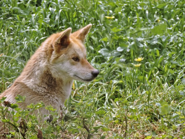 Depositphotos