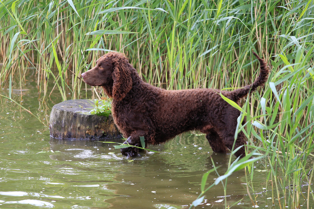 Depositphotos