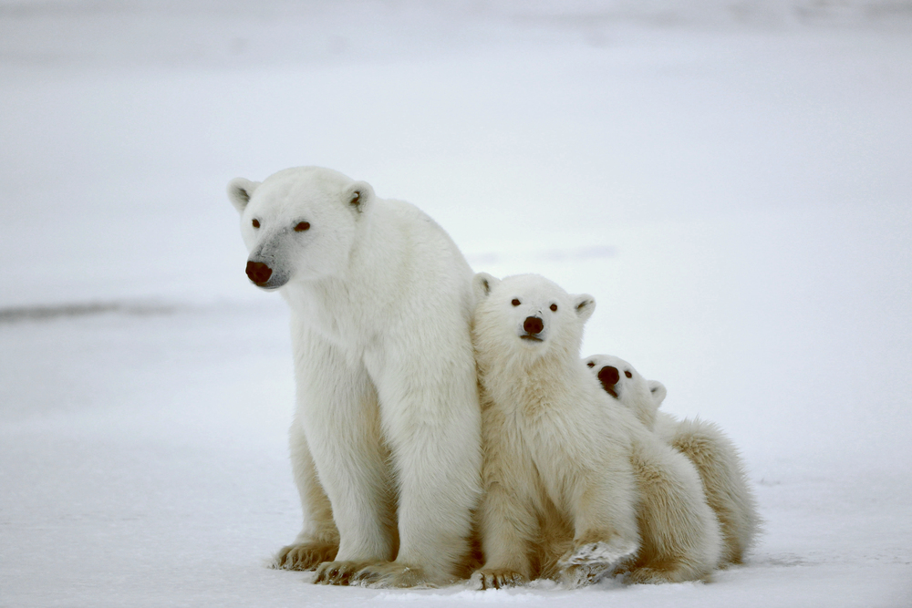 Depositphotos