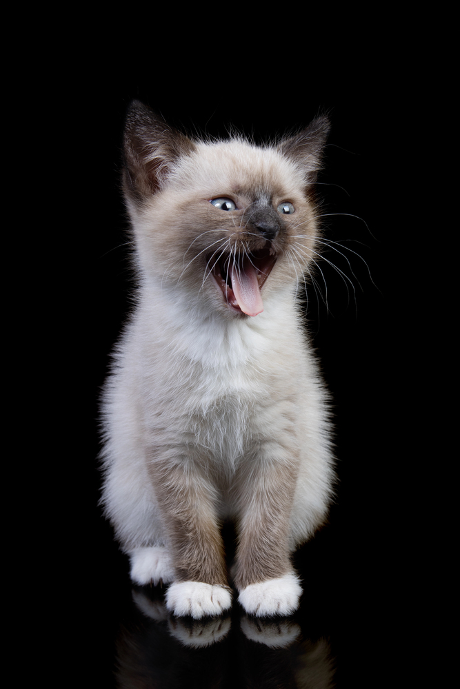 Depositphotos