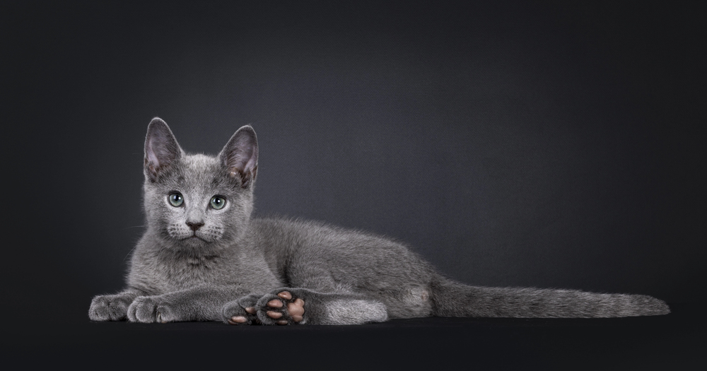 Depositphotos