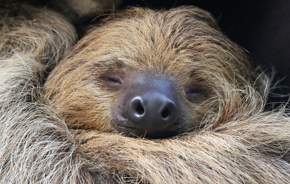 Depositphotos