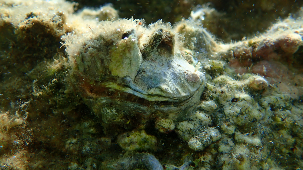 Depositphotos.com