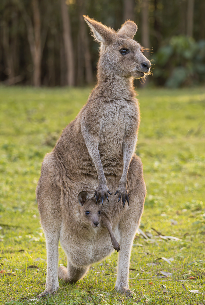 Depositphotos
