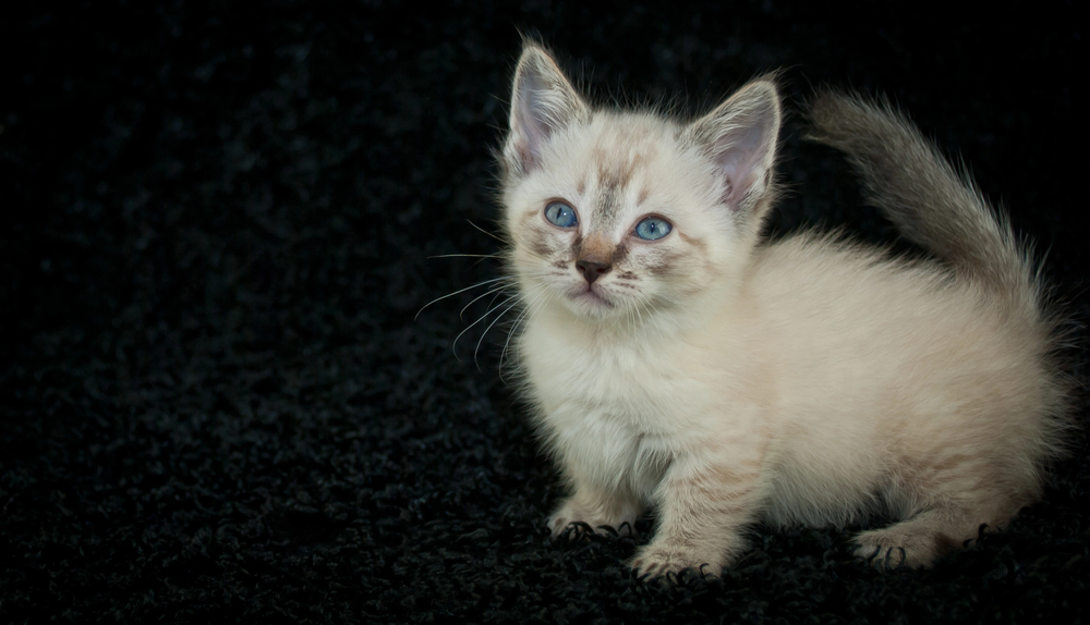 Stock: Depositphotos.com