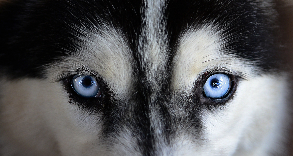 Depositphotos.com