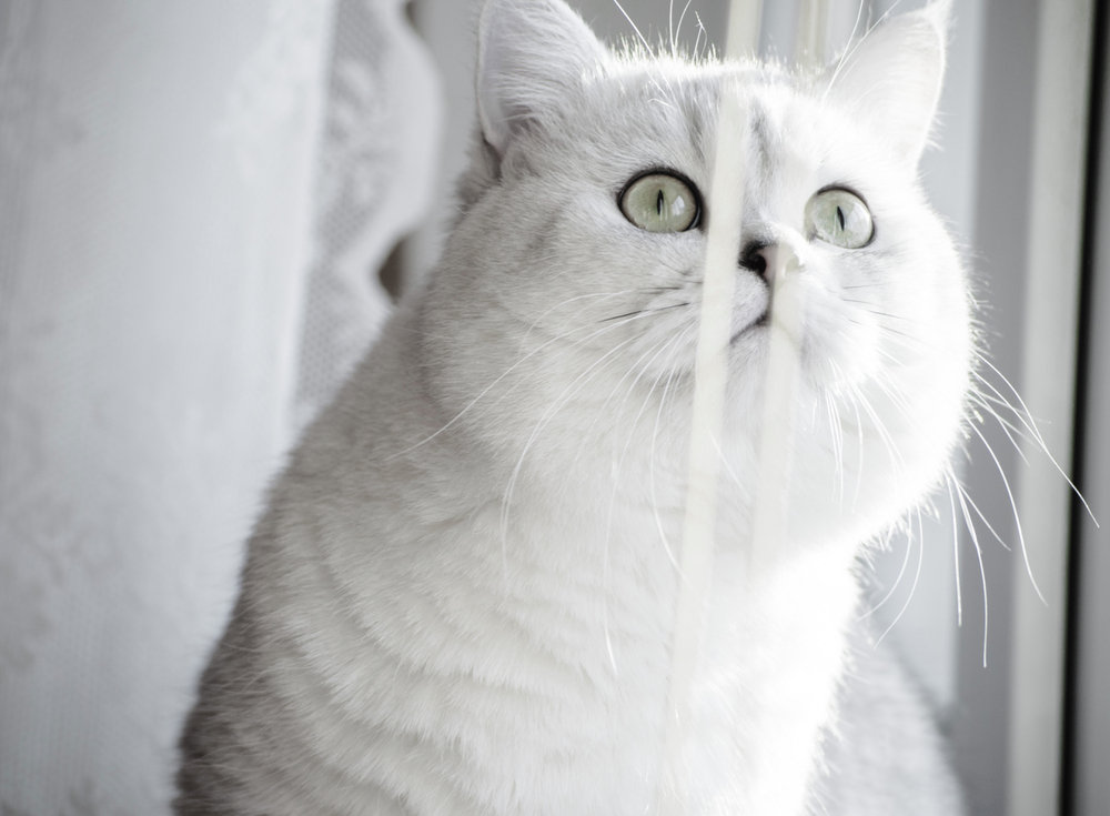 Depositphotos.com