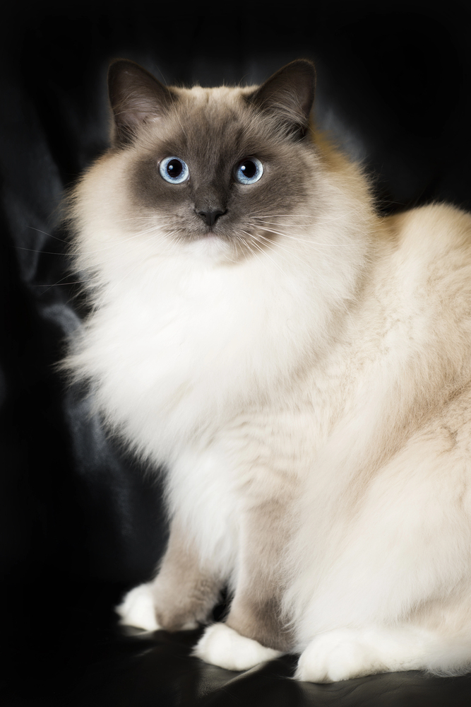 Depositphotos.com