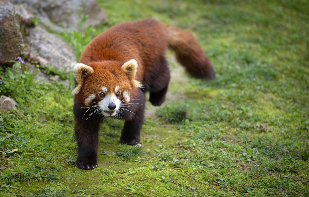 Depositphotos.com