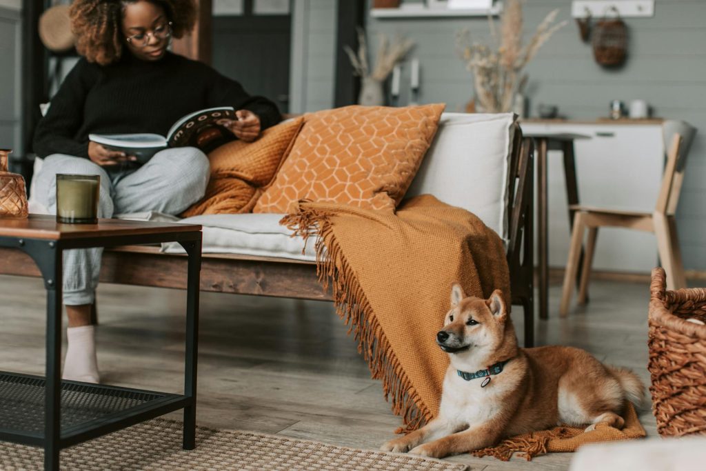 7 ting du (garantert) ikke visste om Shiba Inu