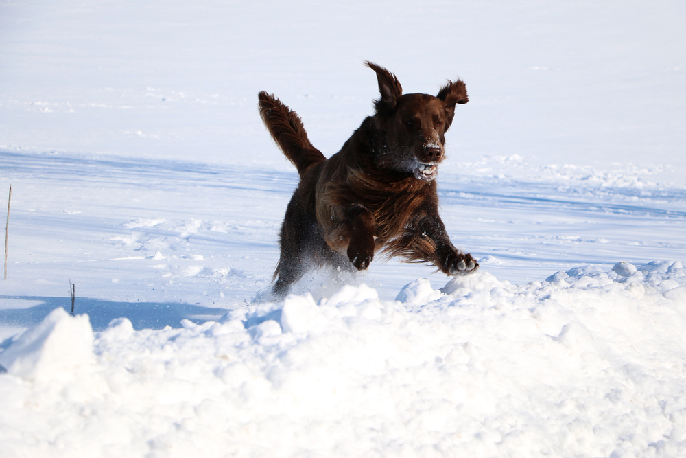 Depositphotos