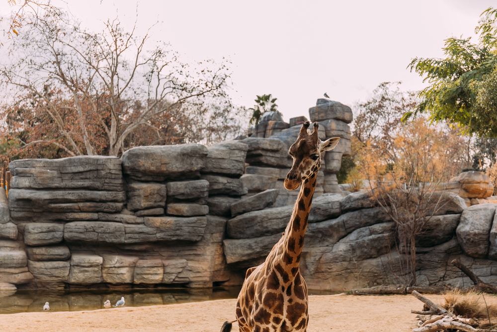 Depositphotos