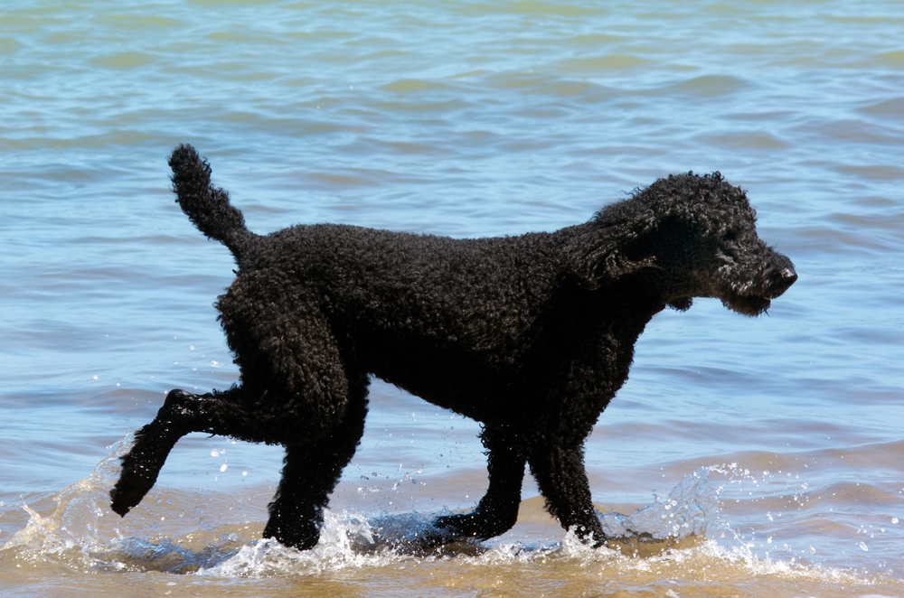 Depositphotos